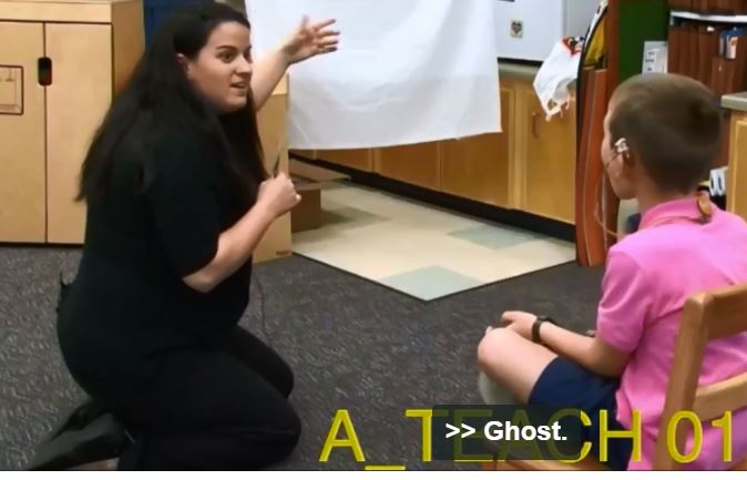 Foundations for Literacy for Deaf and HH Preschool Students