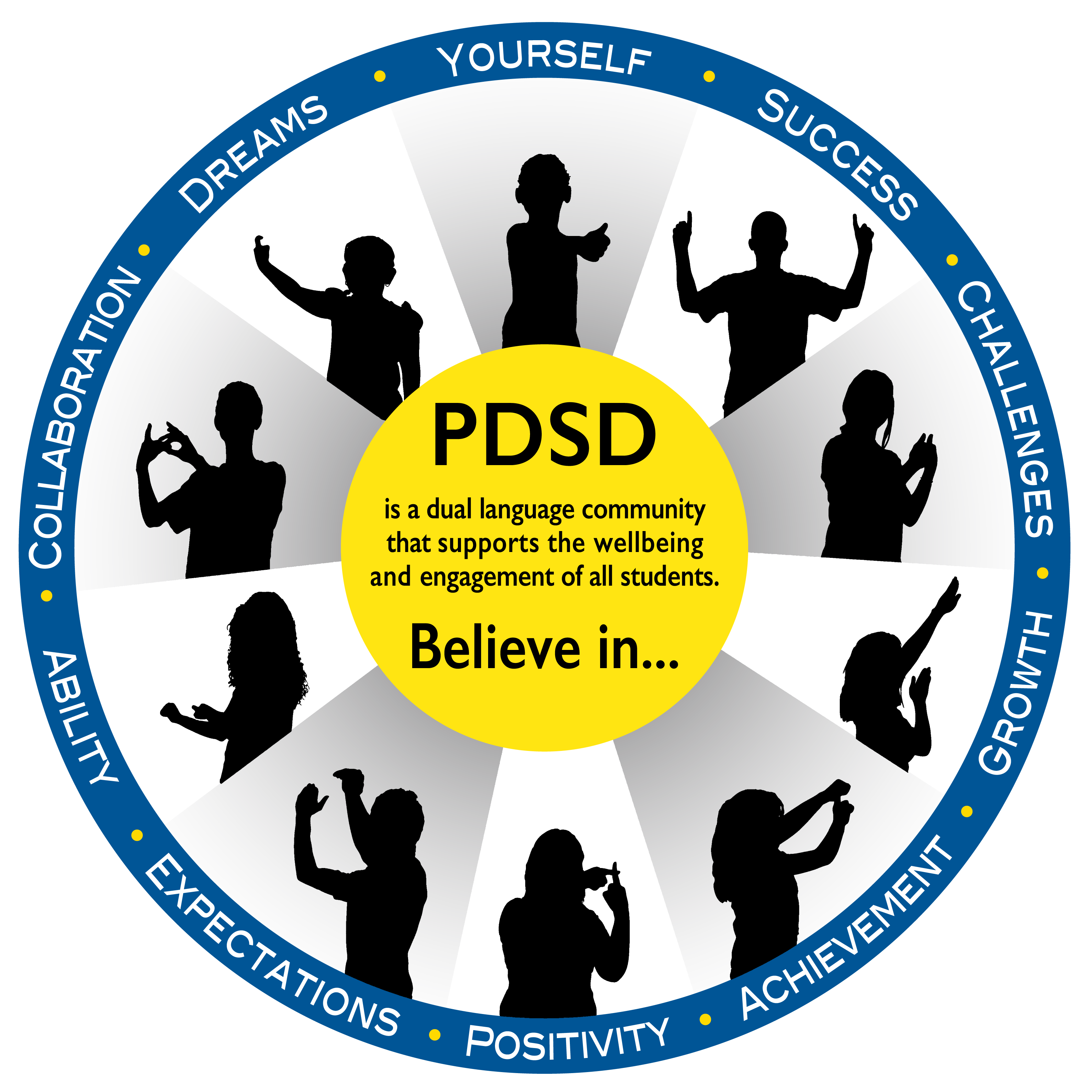 PDSD graphic about beliefs
