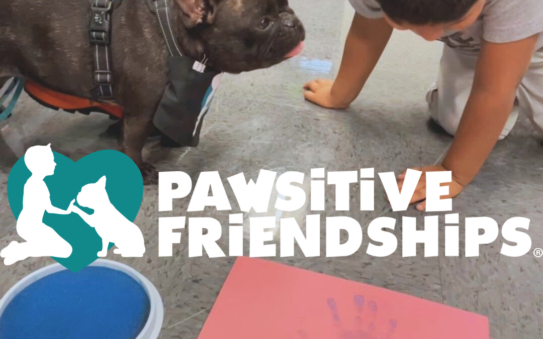 Pawsitive Friendships