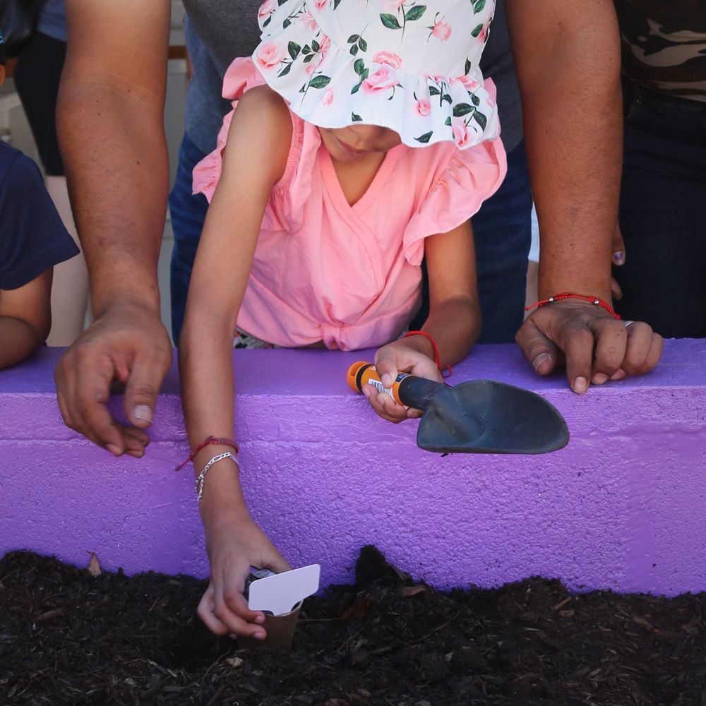 A student in a white floral bucket hat places plant seeds into a hole in the planter.