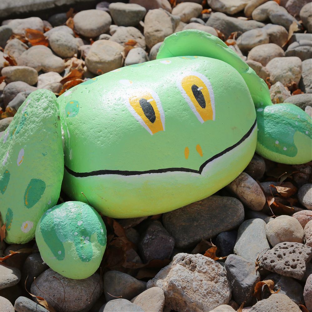 Rocks painted and positioned to look like a frog.